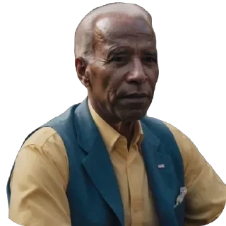 🇮🇳