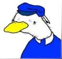 🦆