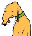 🐶